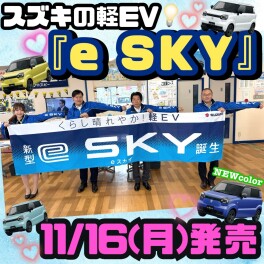 くらし晴れやか！軽EV 新型【e SKY】誕生☆彡